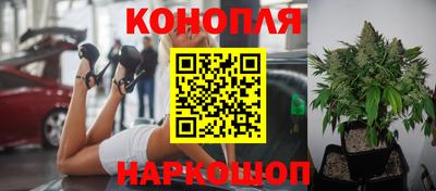 jwh Будённовск
