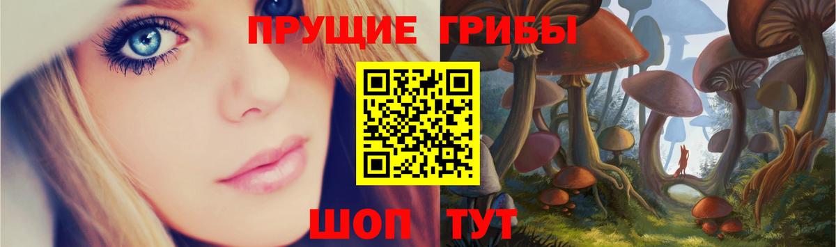 Сланцы  Галлюциногенные грибы Magic Shrooms  Вход с VPN 