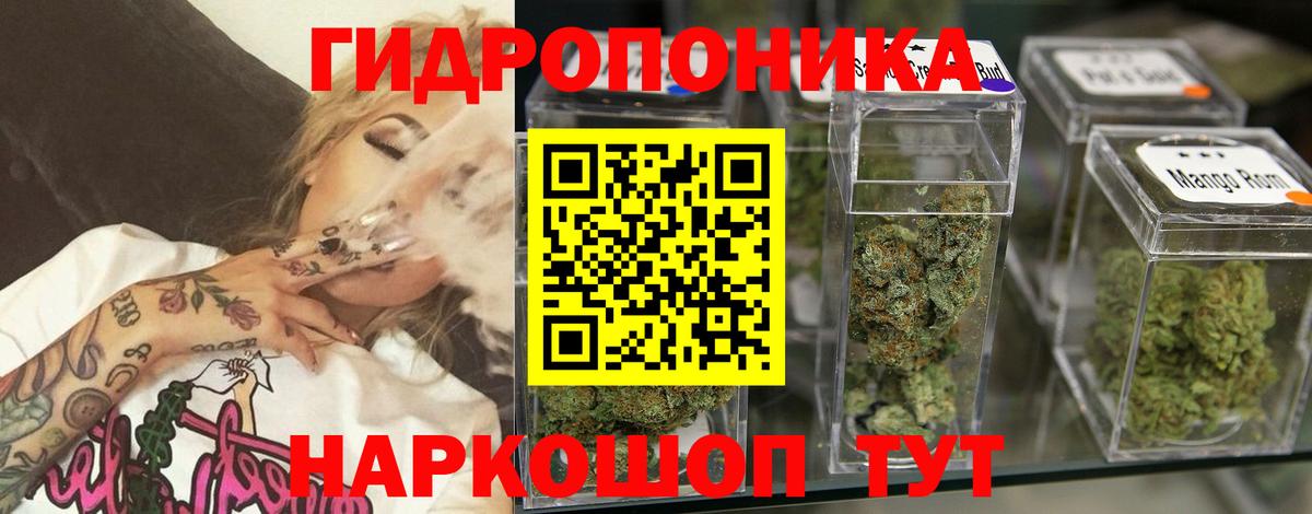 Бошки марихуана план Сланцы